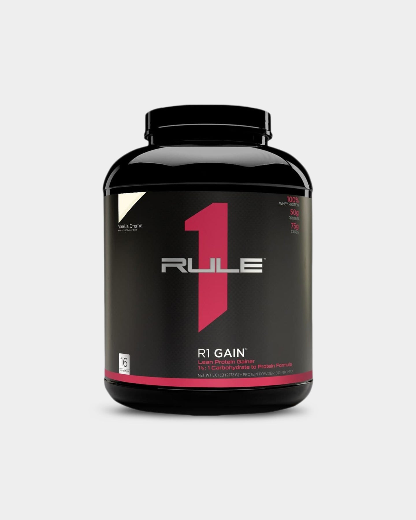 Rule One R1 Gain - Chocolate Fudge (32 Servings)